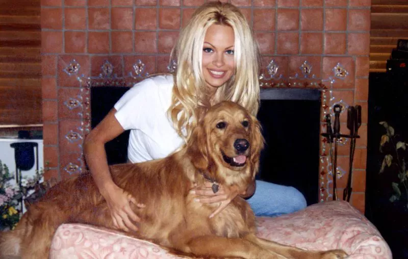 1675890623 463 Pamela Anderson hits back at Tim Allen after he denied.webp