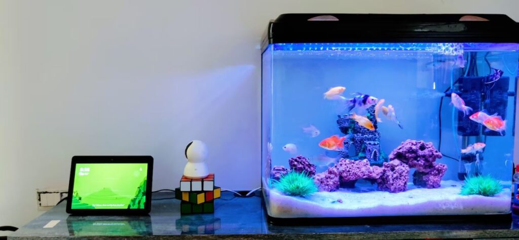 6 Types Of Aquariums Which Are Excellent For Interiors