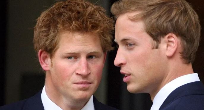Criticism of Harry could prompt changes in the royal family