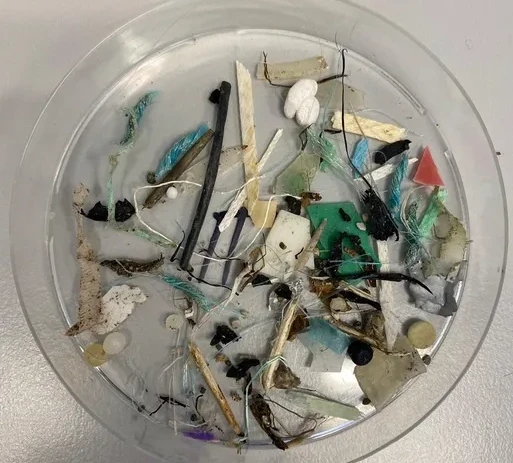 Global Plastic Waste in the Arctic