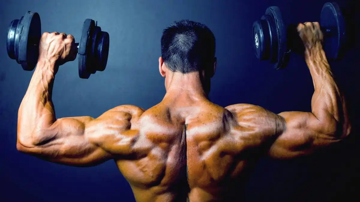 Best Workout Program for Muscle Gain