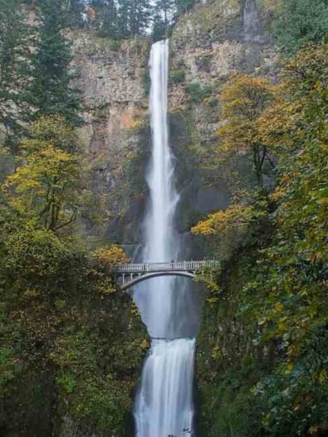 Hiker Dies Multnomah Falls Oregon