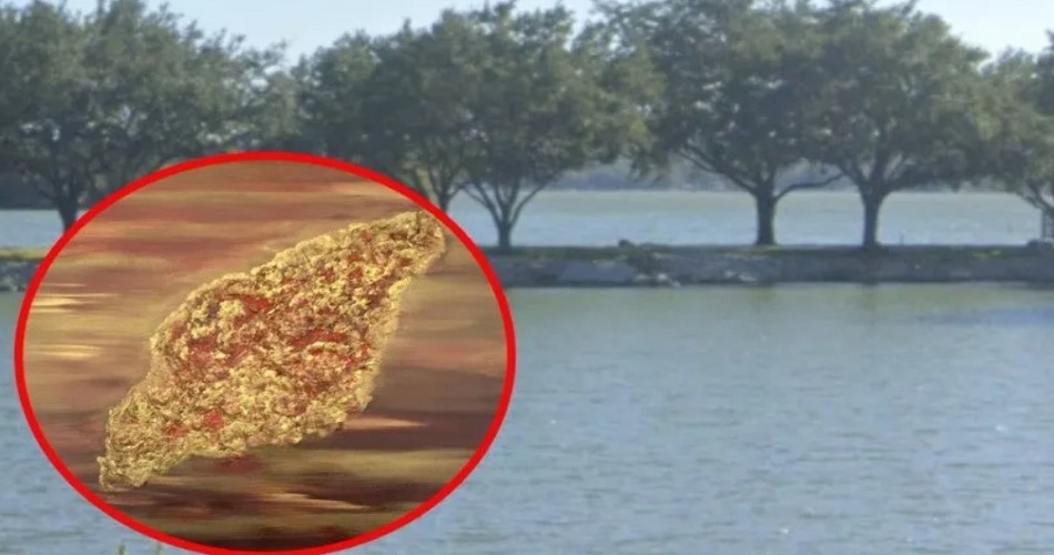 Texas resident dies from rare amoeba infection after swimming in lake