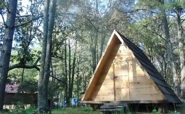 Campamento Plan de los Álamos