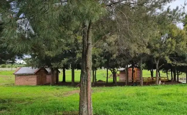 De belles cabanes pour séjourner pendant votre voyage romantique