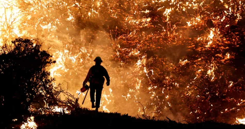 Criticism Grows Over LADWP’s Lack of Preventive Measures Amid Los Angeles Wildfires