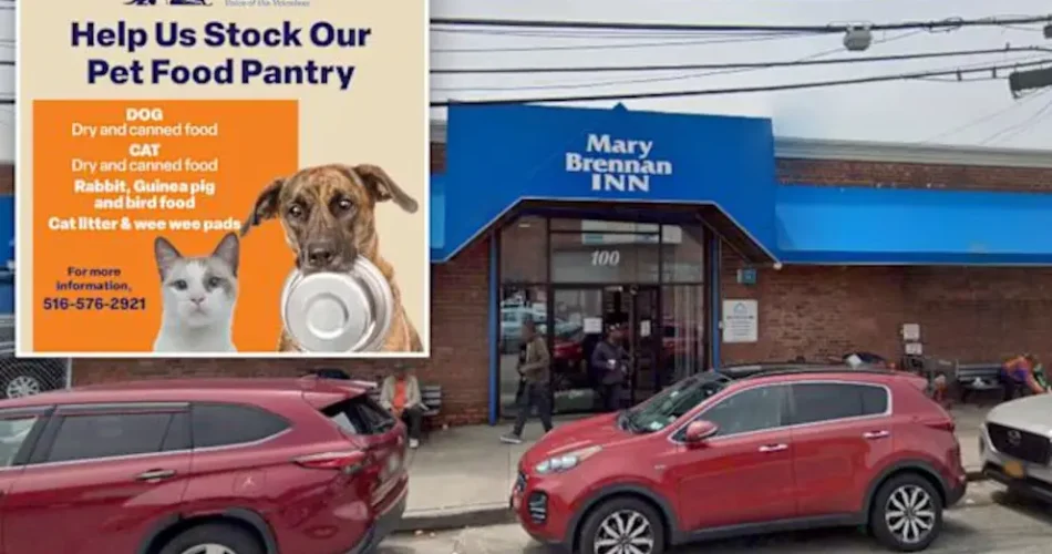 Long Island Soup Kitchen Gives Free Pet Food to Families